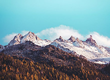 天博体育官方入口-解析K联4小龙战亚冠：两大豪门落寞 全北一枝独秀？